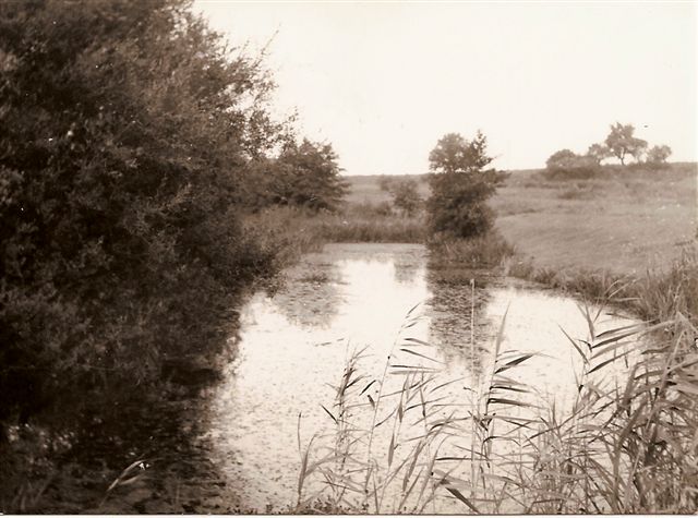 Jezirko